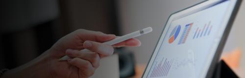 Cost-Reduction Planning for IT Vendors