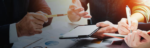 Audit the Project Portfolio