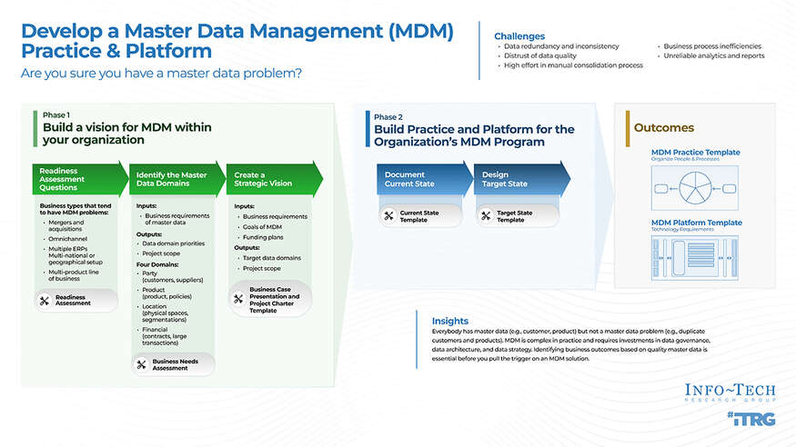 Develop a Master Data Management Practice and Platform