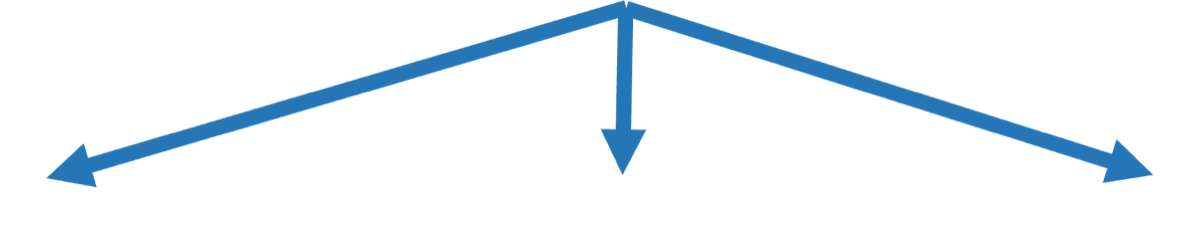 Arrows stemming from the above list, connecting to the three lists below.